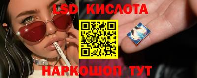 индика Краснознаменск