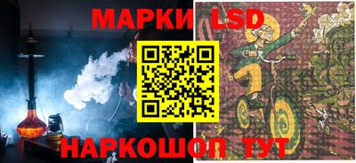 индика Краснознаменск