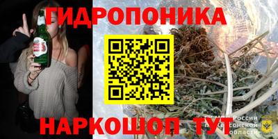индика Краснознаменск