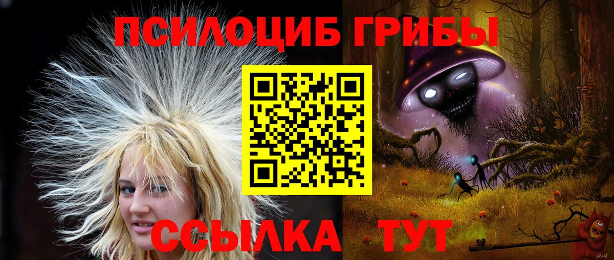Черкесск  Псилоцибиновые грибы Cubensis  Вход с VPN 